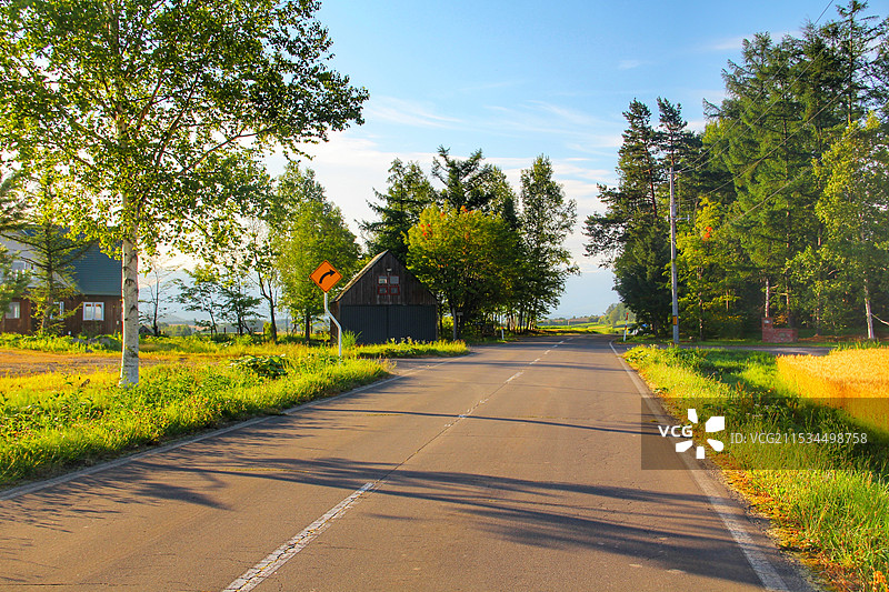 空旷的路在树丛中迎着天空（北海道美瑛村）图片素材