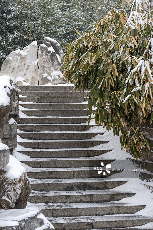 紫竹院公园的雪景图片素材