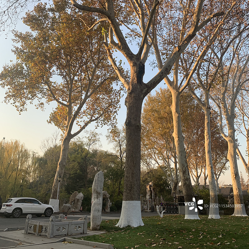 珍珠泉图片素材