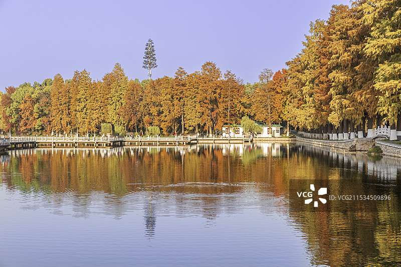 武汉东湖听涛景区碧潭观鱼景点七彩的秋色图片素材