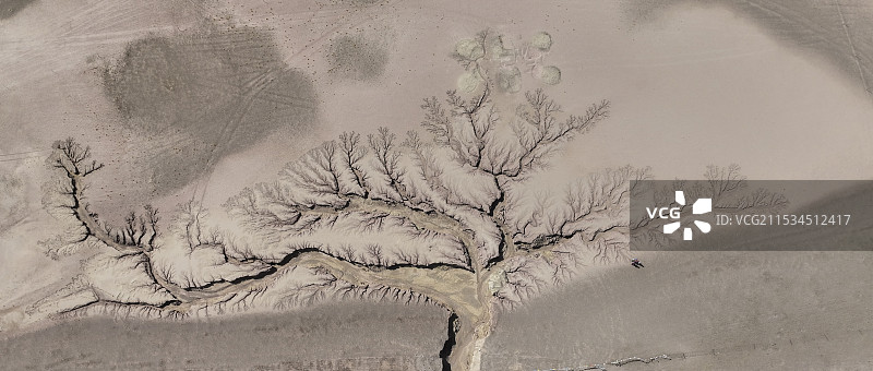 西藏阿里的大地树形纹理画卷图片素材