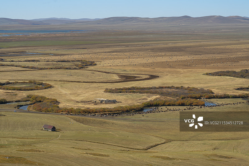 乌拉盖草原，它是世界上保存最完好的天然草原，同时拥有湖泊、湿地、白桦林等自然景观，它是内蒙古生产建设图片素材