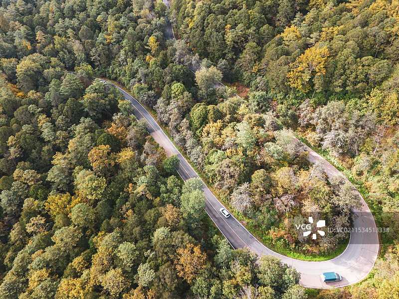 U型公路旁茂密山林晨色  昆明滇源图片素材