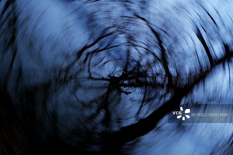 蓝色背景下，冬天的枯树旋转镜头图片素材