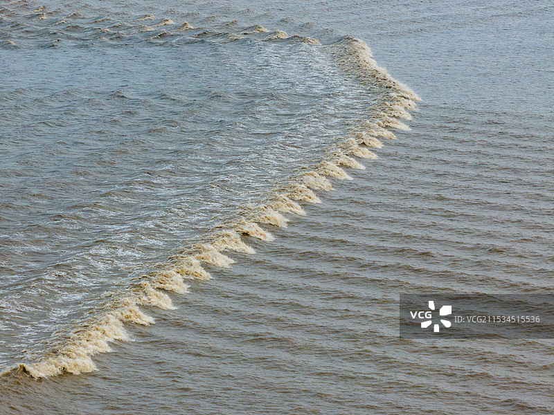 浙江省嘉兴市绍兴市钱塘江退潮形成的潮汐树现象航拍图片图片素材