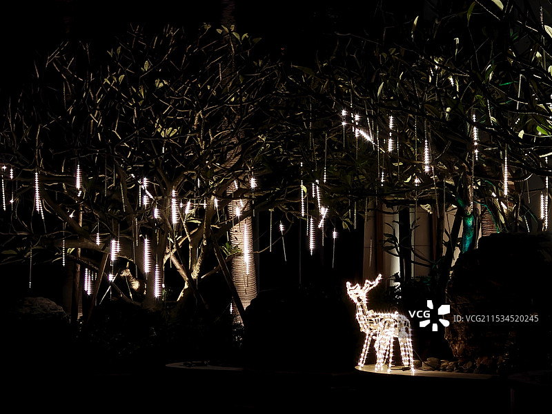 圣诞将至的氛围感-厦门艾美酒店图片素材