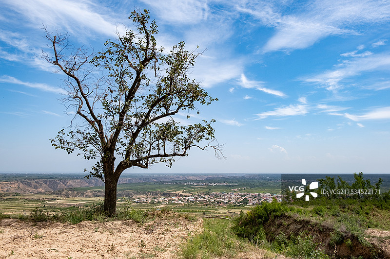 陕西渭南合阳罗山寺塔图片素材