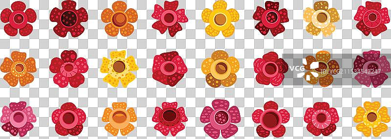 大王花图标集展示不同颜色图片素材