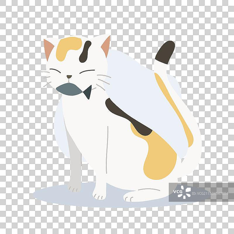 可爱的猫咪叼着鱼，顽皮的小猫图片素材