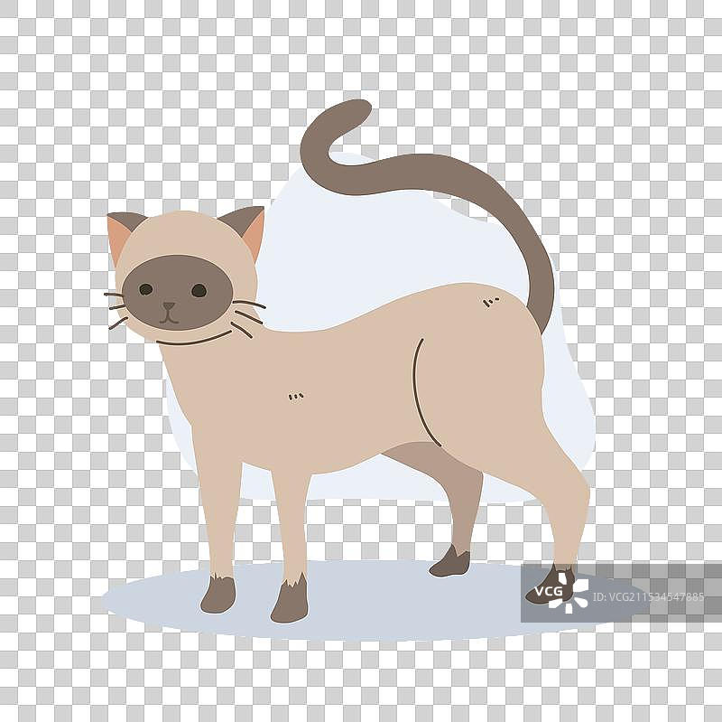 迷人的可爱猫咪，惹人喜爱的卡通猫艺术图片素材