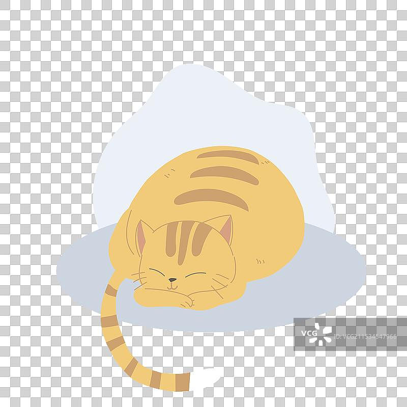 可爱的家猫蜷缩在舒适的地方图片素材