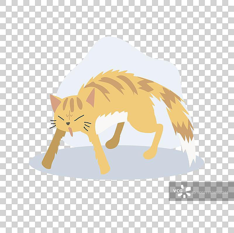 处于攻击姿态的猫，毛发蓬松图片素材