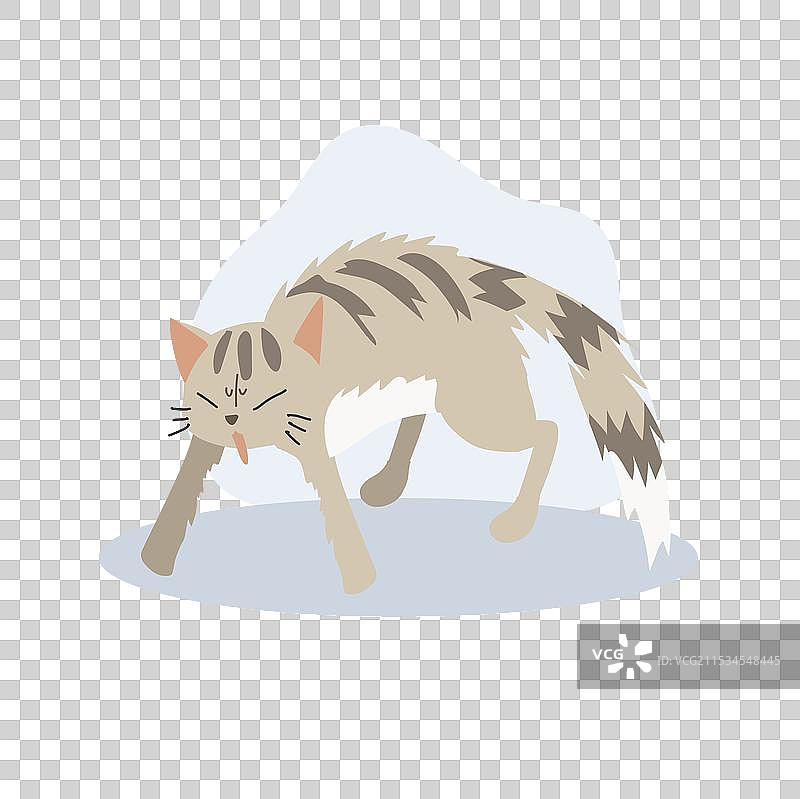 处于攻击姿态的猫，毛发蓬松图片素材