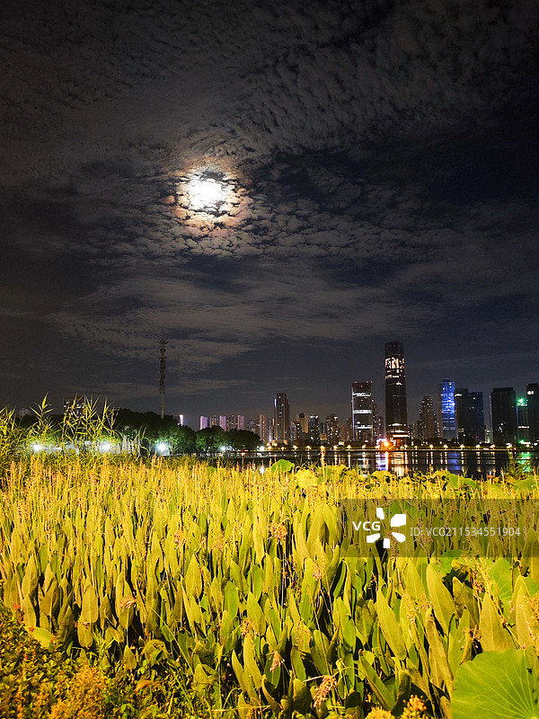 沙湖夜景图片素材