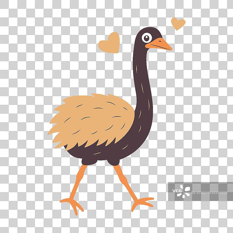 可爱的鸵鸟大鸟野生动物角色图片素材