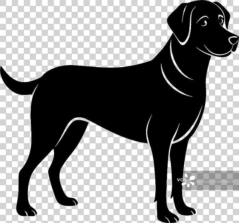 拉布拉多寻回犬剪影 - 黑色和白色的狗图片素材