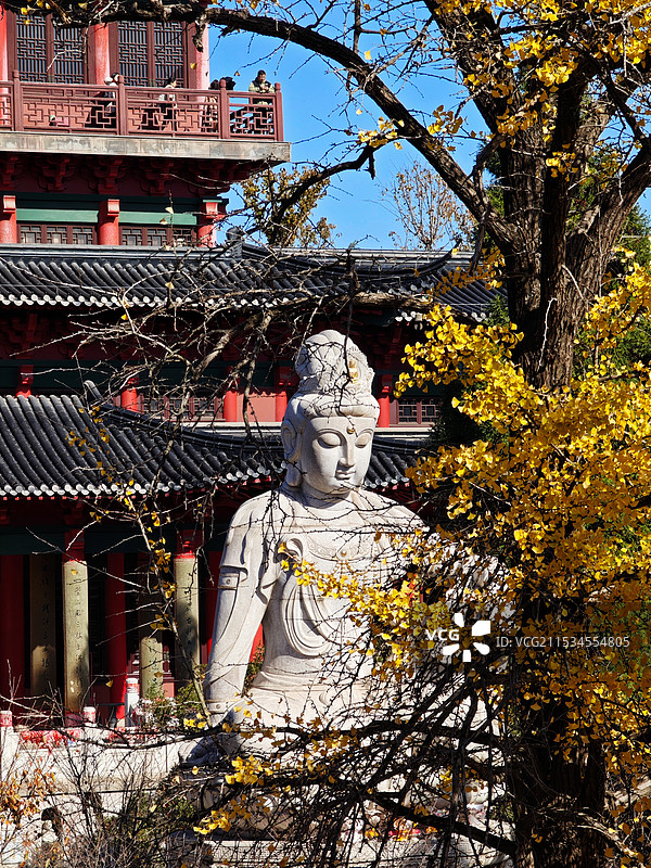 秋日的寺庙-南京市毗卢寺图片素材