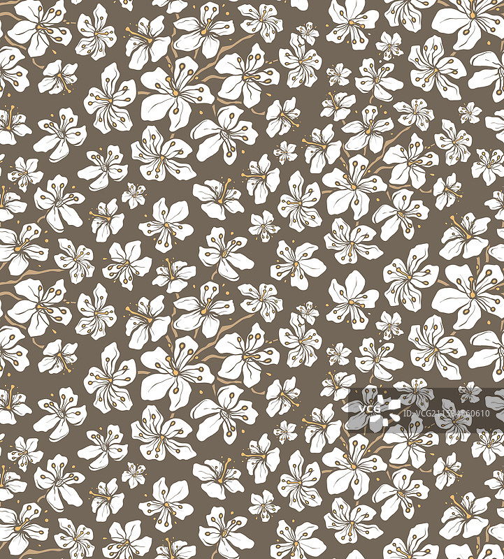 伊塔纳穆克杜鹃花，巴布亚，印度尼西亚图片素材