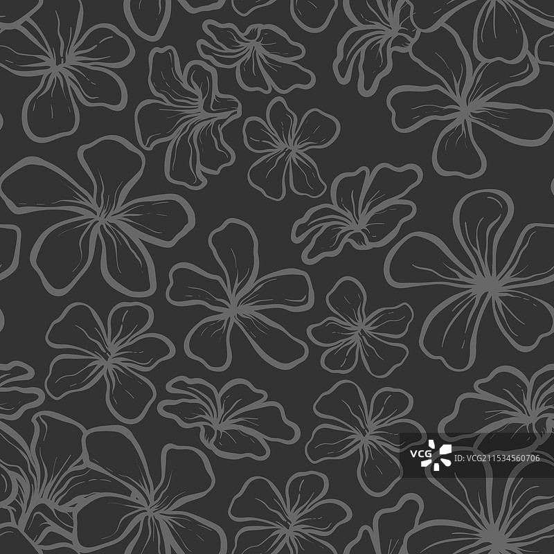 茉莉花印尼花卉轮廓无缝图案图片素材