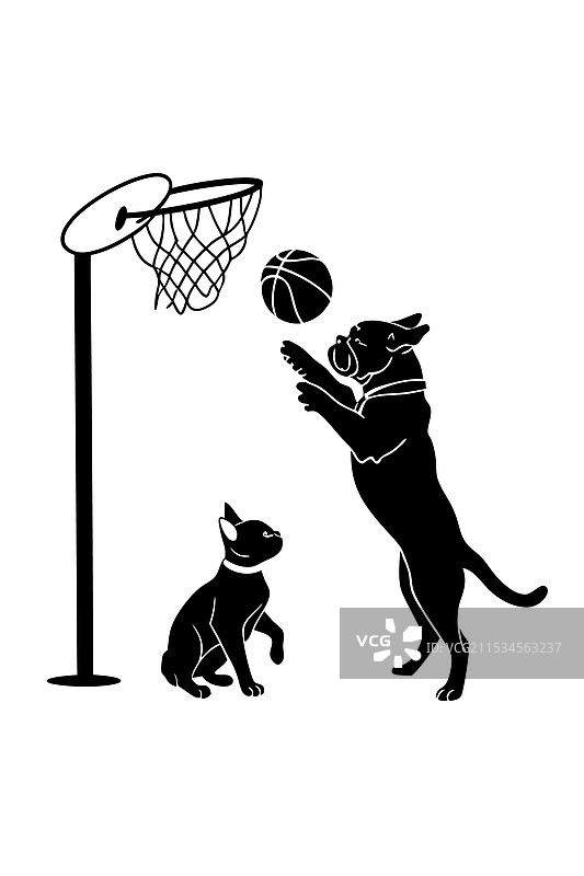 德国牧羊犬和法国斗牛犬猫图片素材