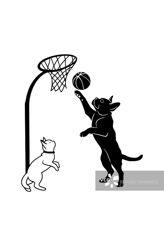 德国牧羊犬和法国斗牛犬猫图片素材