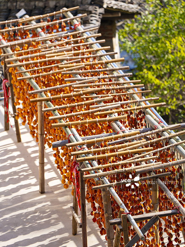 秋天晒柿饼图片素材