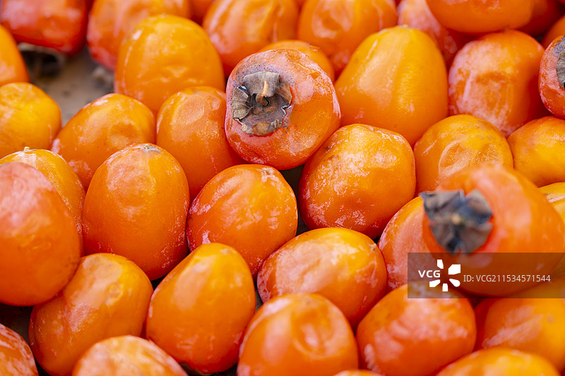 歙县姬公尖柿子图片素材