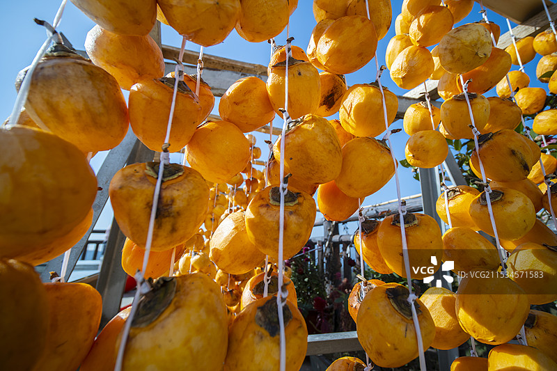 秋天晒柿饼图片素材