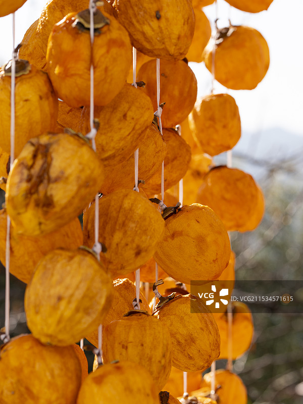 秋天晒柿饼图片素材