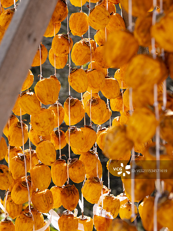 秋天晒柿饼图片素材