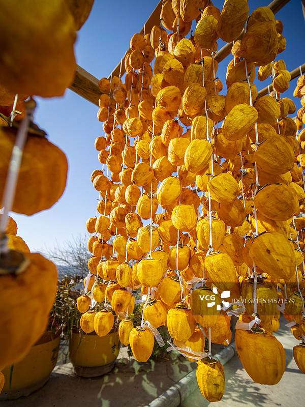 秋天晒柿饼图片素材