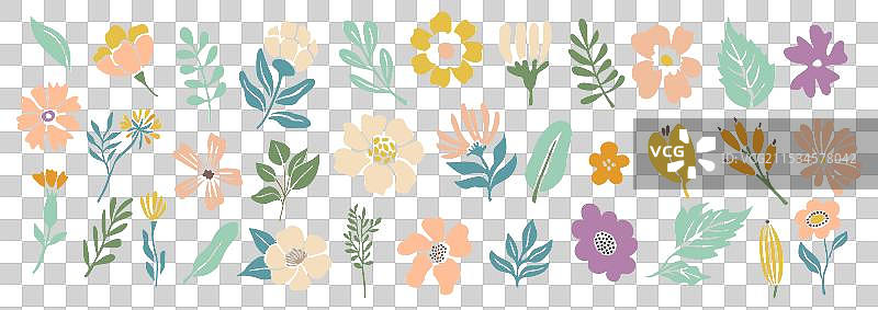 一组手绘花卉设计元素，背景为黑色图片素材