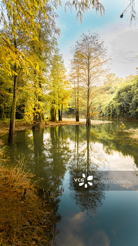 五桂山水库图片素材