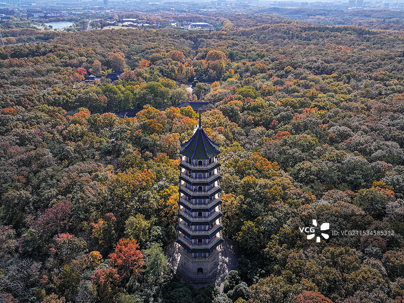 航拍灵谷塔图片素材