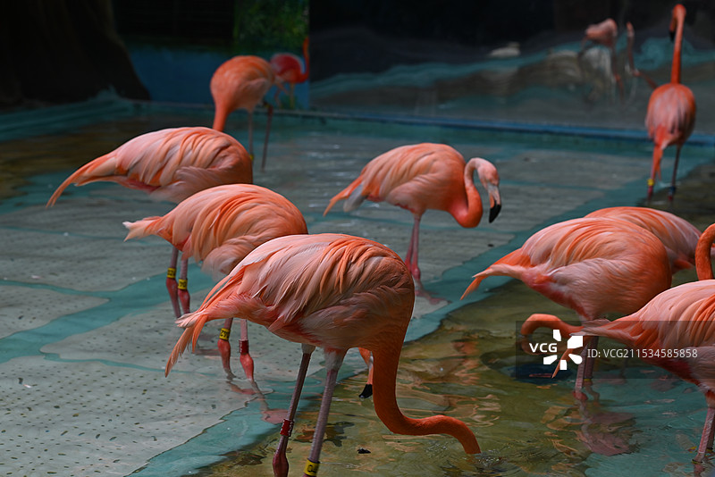 哈尔滨极地馆图片素材