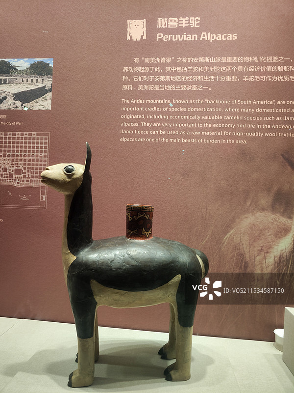 秘鲁印加文明文物：大羊驼形陶器图片素材