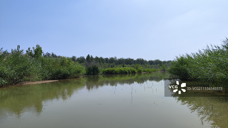 河流和芦苇图片素材