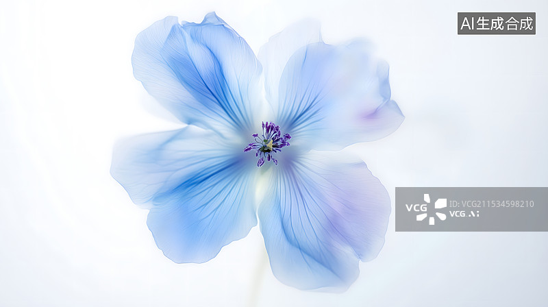 【AI数字艺术】蓝色飞燕草花特写艺术背景图片素材