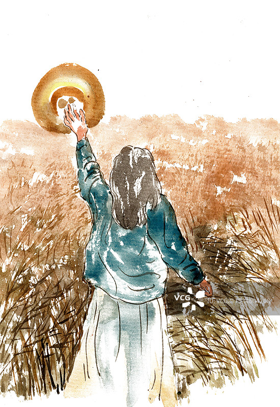 芦苇丛中的女子图片素材