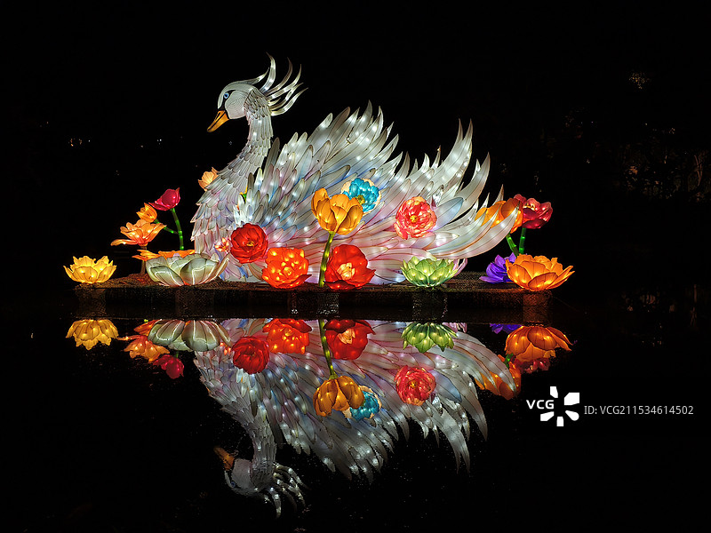节日夜晚水面上的天鹅花灯，灯笼图片素材