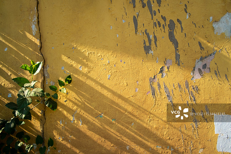 黄墙全帧拍摄图片素材