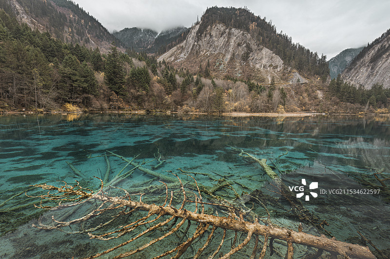 九寨沟日则沟五花海秋季风景图片素材
