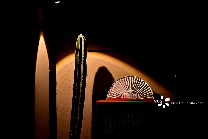 一偶光影图片素材