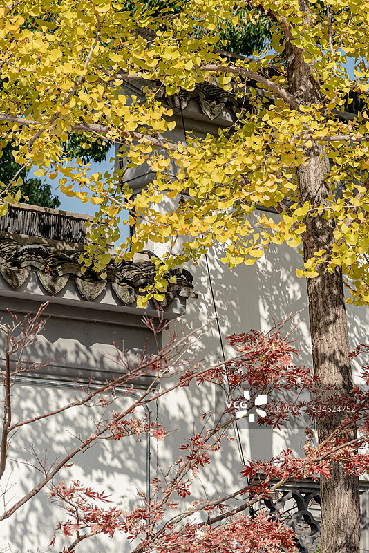 甪直古镇图片素材