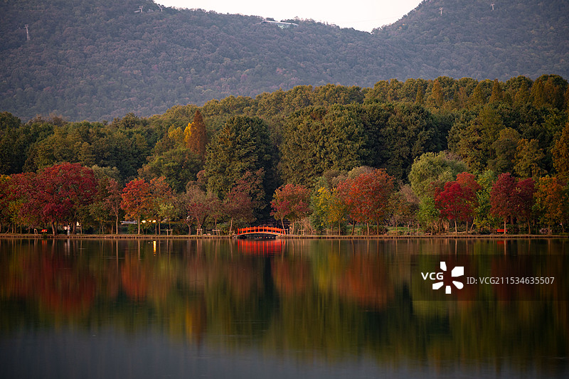 中山植物园红桥图片素材