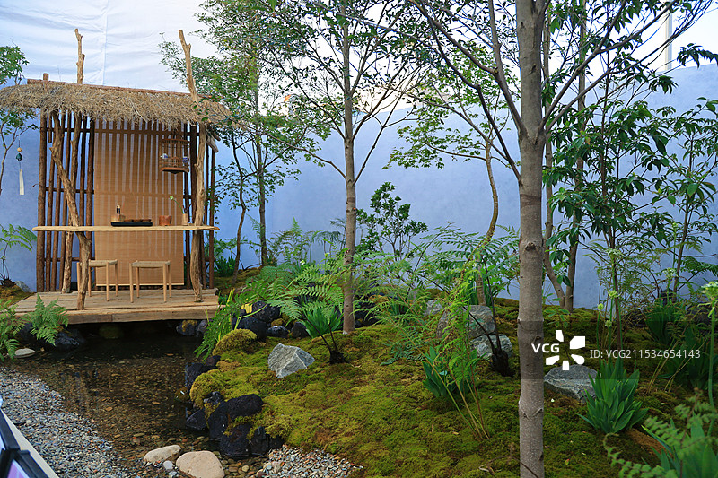 常州夏溪花木市场家庭园艺花园节图片素材