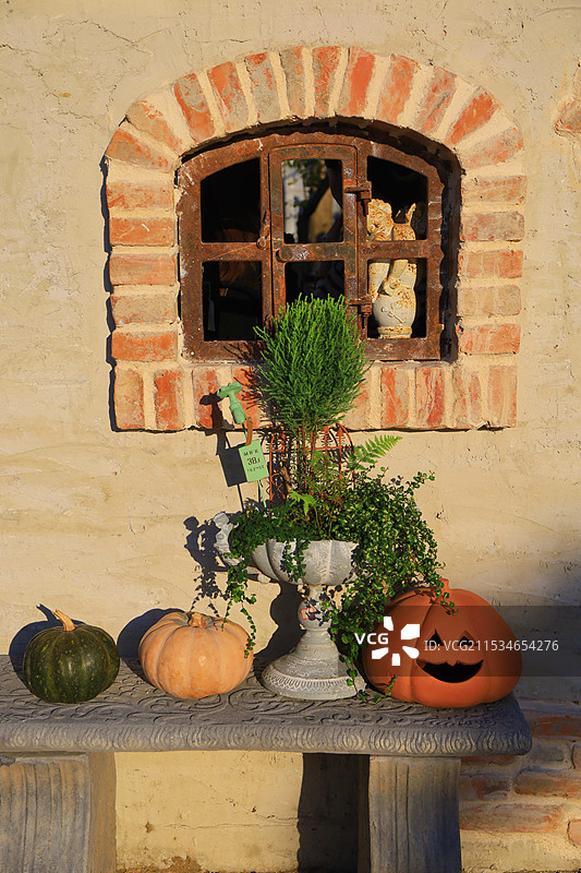 常州夏溪花木市场家庭园艺花园节图片素材