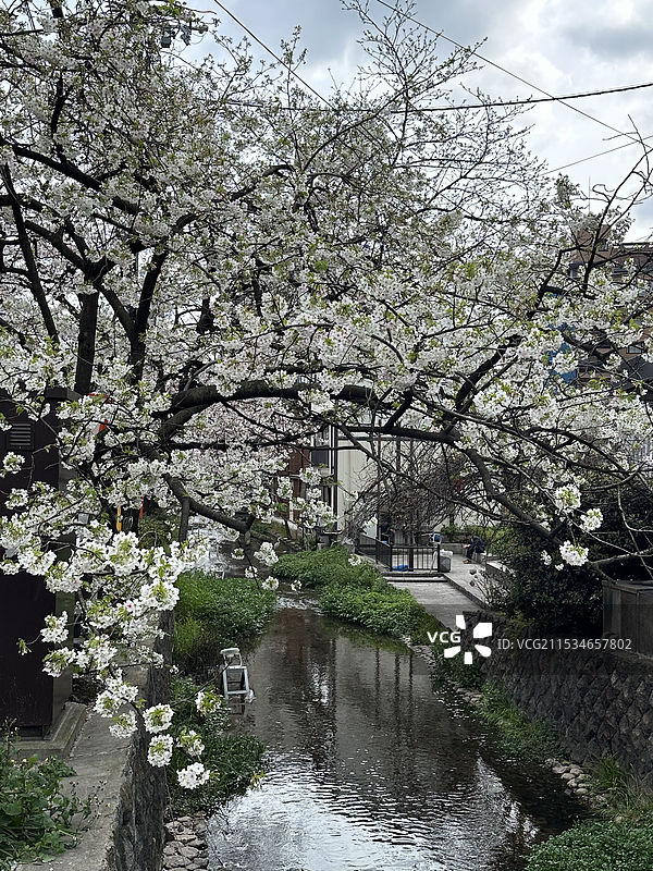 日本京都花见小路景色图片素材