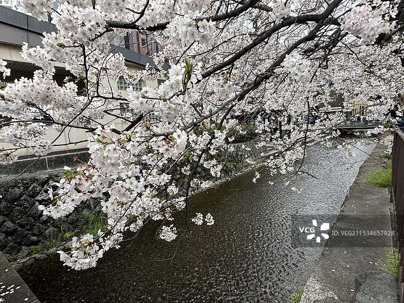 日本京都花见小路景色图片素材