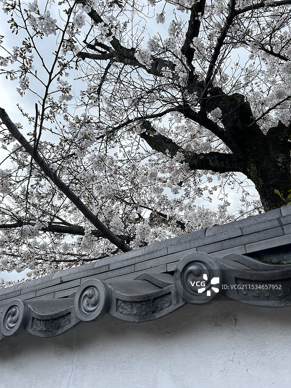 日本京都花见小路景色图片素材